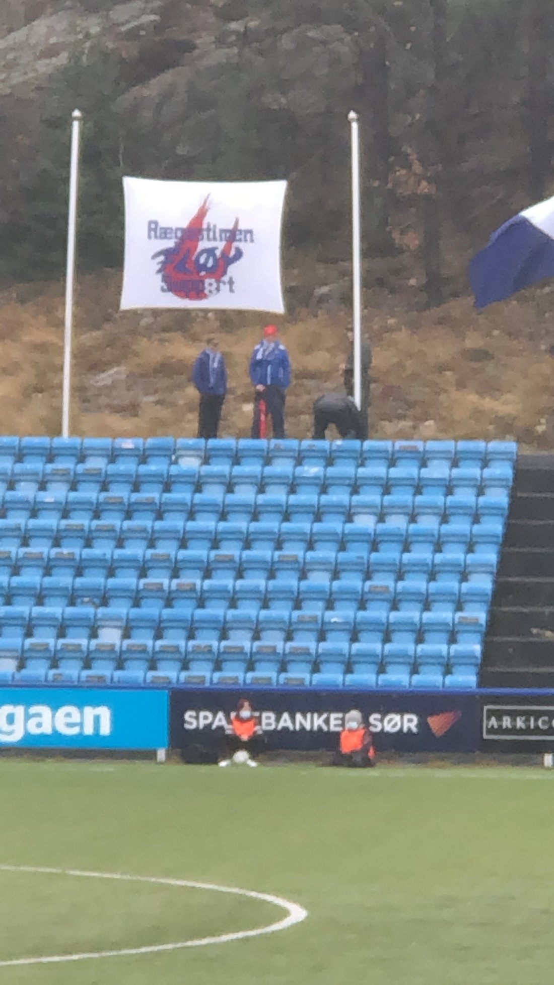 Rægestimen