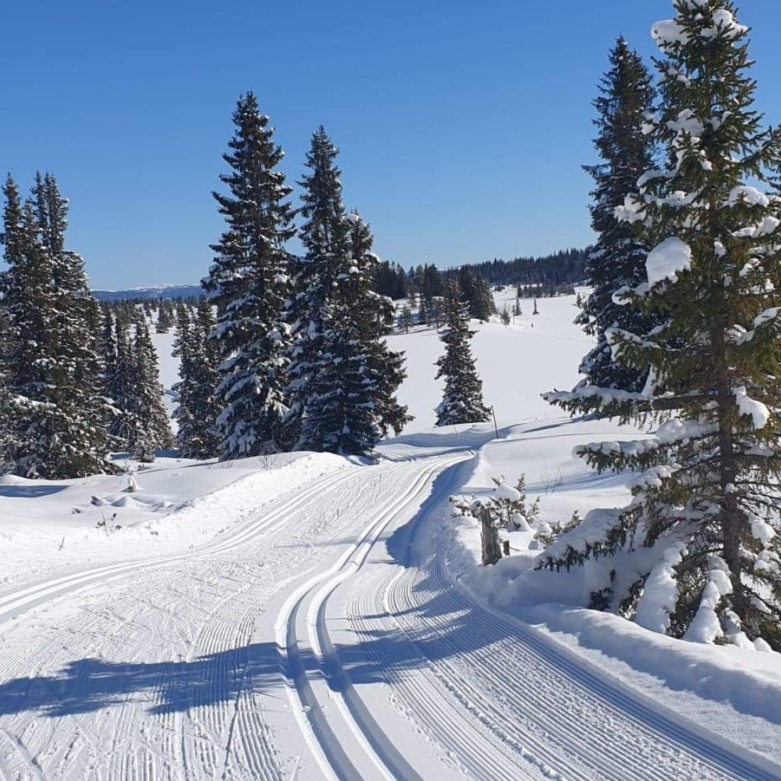 Langrennsbilde_Skaga