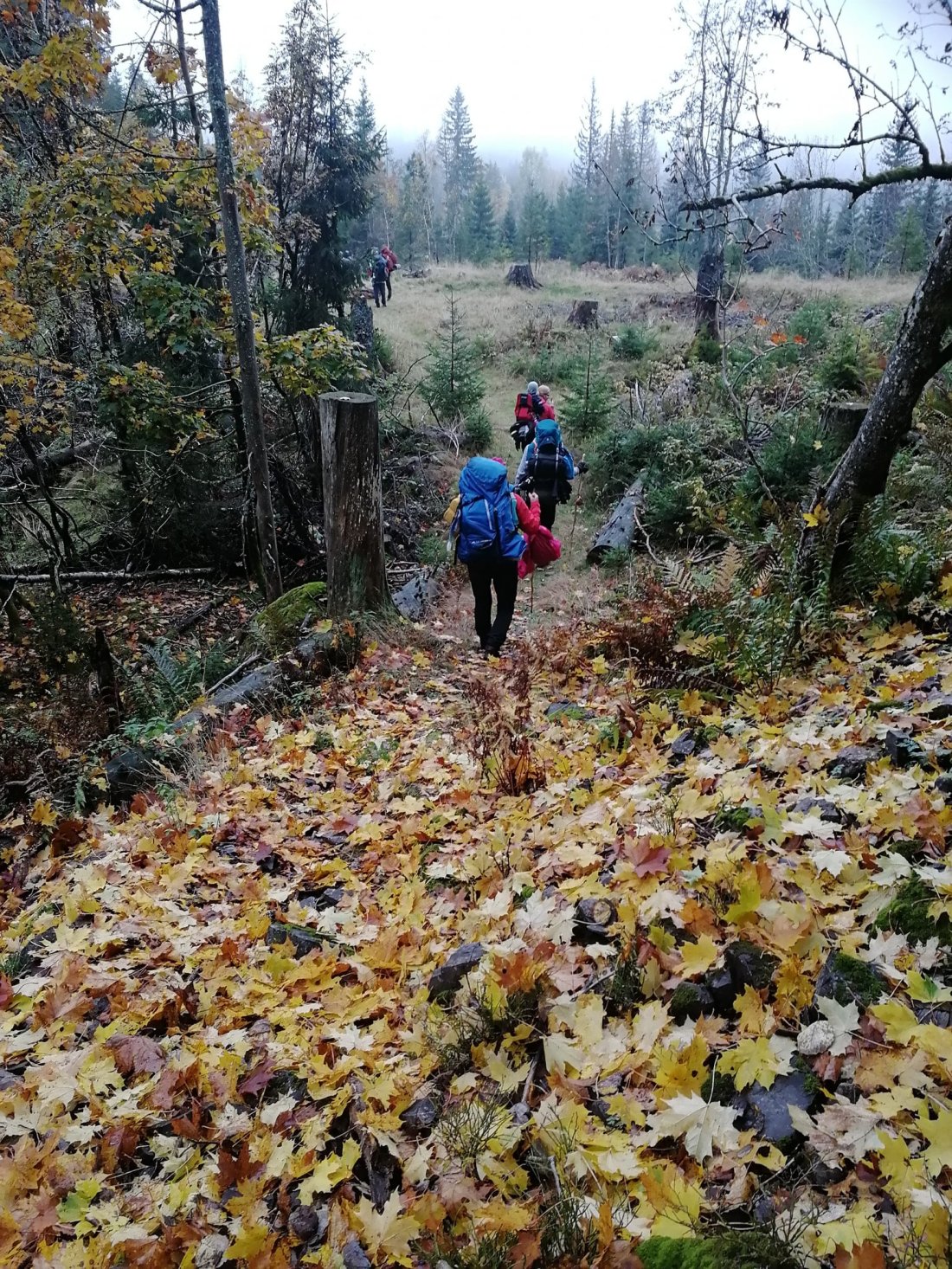 Gatelaget_Marka_høzt